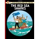 The Red Sea Sharks