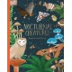 Nocturnal Creatures Search and Find: Search and Find Book