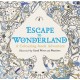 Escape to Wonderland: A Colouring Book Adventure