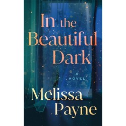 In the Beautiful Dark: A Novel