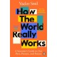 How the World Really Works: A Scientist’s Guide to Our Past, Present and Future