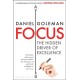 Focus: The Hidden Driver of Excellence