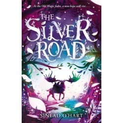 The Silver Road: a thrilling adventure filled with myth and magic