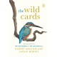 The Wild Cards: A 100 Postcard Box Set