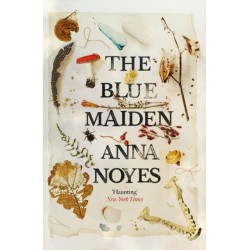 The Blue Maiden: A dazzling feminist gothic about witches, loss and resilience