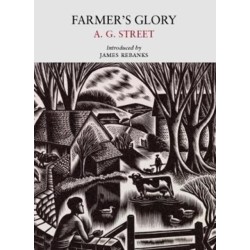 Farmer's Glory