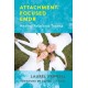 Attachment-Focused: Healing Relational Trauma
