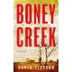 Boney Creek: A Thriller