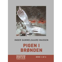 Pigen i brønden (Storskrift)