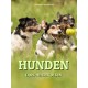 Hunden