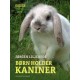 Børn holder kaniner