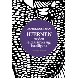 Hjernen og den følelsesmæssige intelligens