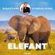 Sebastians dyrebibliotek - Elefant