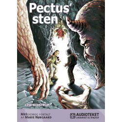 Pectus' sten 1