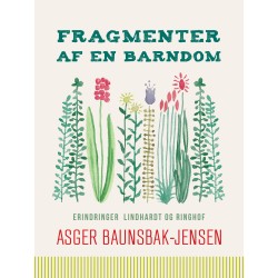 Fragmenter af en barndom
