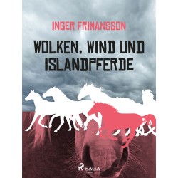 Wolken, Wind und Islandpferde