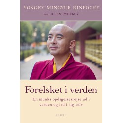 Forelsket i verden: En munks opdagelsesrejse ud i verden og ind i sig selv