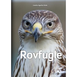 Rovfugle