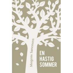 En hastig sommer
