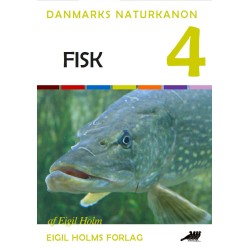 Fisk