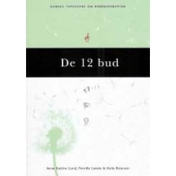 De 12 bud: Danske topledere om kommunikation