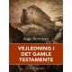 Vejledning i Det gamle testamente