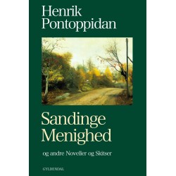 Sandinge Menighed: og andre Noveller og Skitser