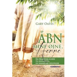 Åbn mine øjne, Herre: En praktisk guide til englebesøg og himmelske oplevelser