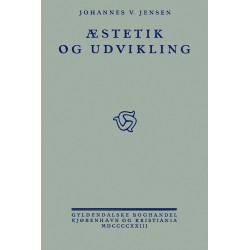 Æstetik og udvikling: Efterskrift til Den lange rejse