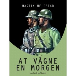 At vågne en morgen