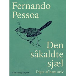 Den såkaldte sjæl. Digte af ham selv