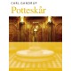 Potteskår