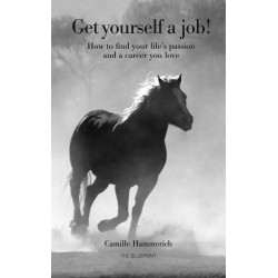 Get yourself a job: How to find your lifes passion and a career you love
