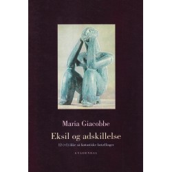 Eksil og adskillelse: 12 (+1) ikke så fantastiske fortællinger