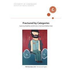 Fractured by Categories: Exploring Disability and Ethnicity in the Danish Welfare State