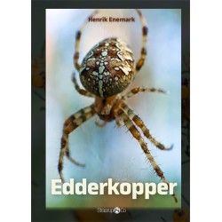 Edderkopper