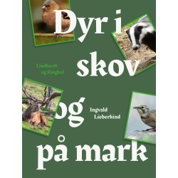 Dyr i skov og på mark