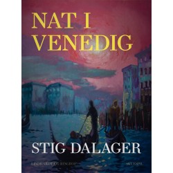 Nat i Venedig