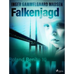 Falkenjagd - Roland Benito-Krimi 10