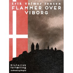 Flammer over Viborg