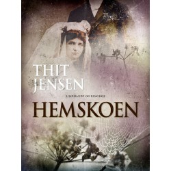 Hemskoen