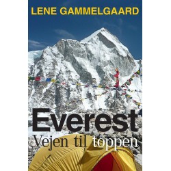 Everest: Vejen til toppen