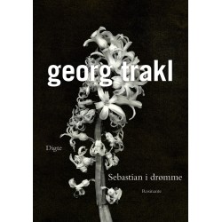 Sebastian i drømme