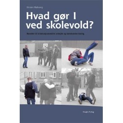 Hvad gør I ved skolevold?