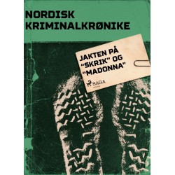 Jakten på "Skrik" og "Madonna"