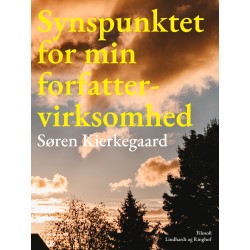 Synspunktet for min forfattervirksomhed