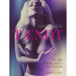 TÆNDT - Sex små fortællinger for voksne