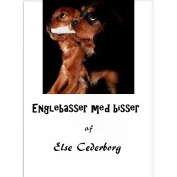 ENGLEBASSER MED BISSER