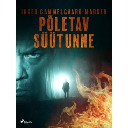Põletav süütunne