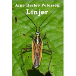 Linjer